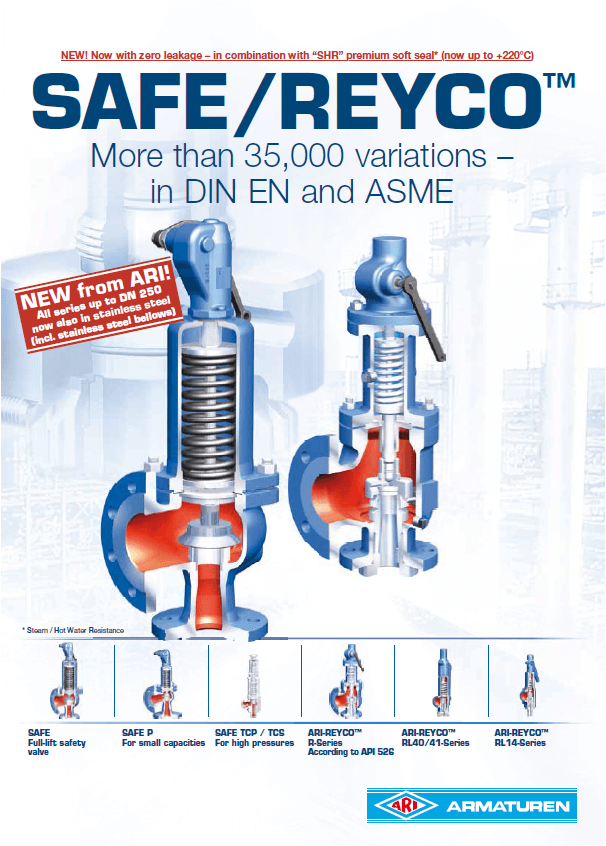 安全閥 ARI - SAFE